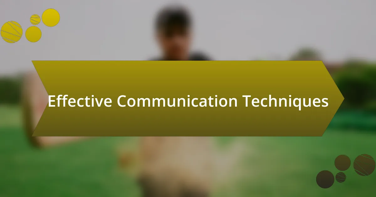 Effective Communication Techniques