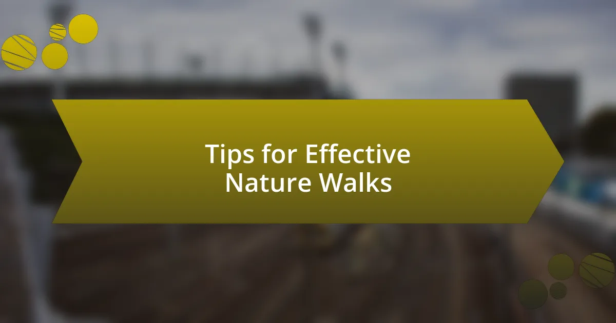 Tips for Effective Nature Walks